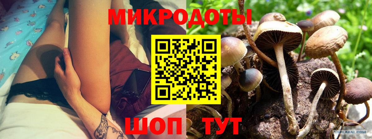 Псилоцибиновые грибы ЛСД Туймазы